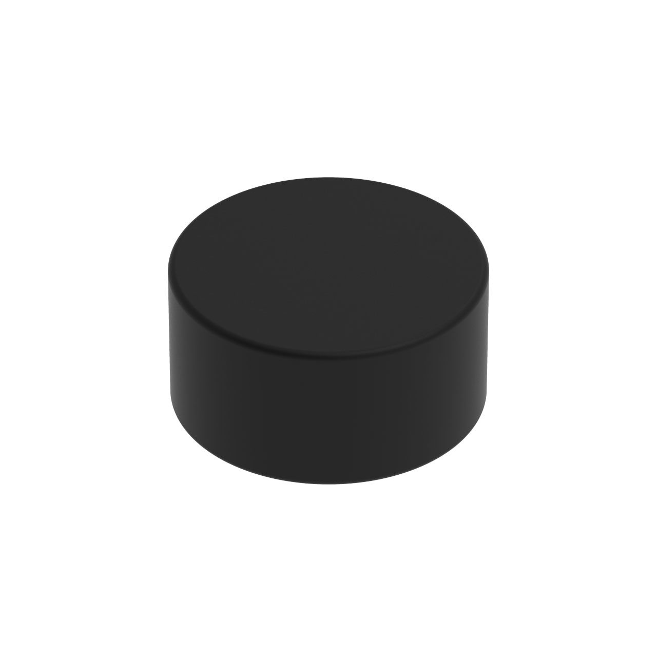 ネオジム磁石 丸形ブラック 直径4mm x 高さ2mm（10個入） タムタムオンラインショップ札幌店 通販 カラー工具