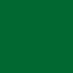 S6 グリーン（緑） タムタムオンラインショップ札幌店 通販 カラー工具